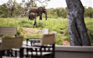 Simbavati Amani [320x200]